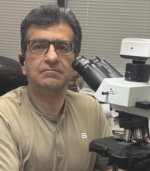 Dr. Bizhan Bandarchi
